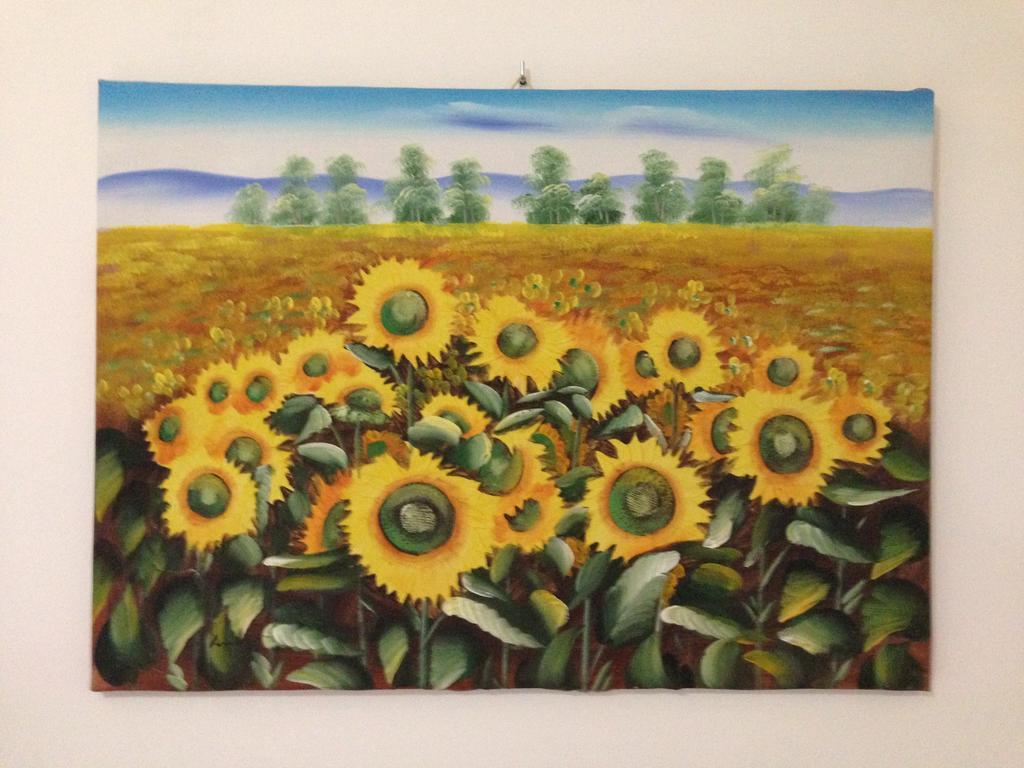 B&B Nature Colors Civitanova Marche Kamer foto